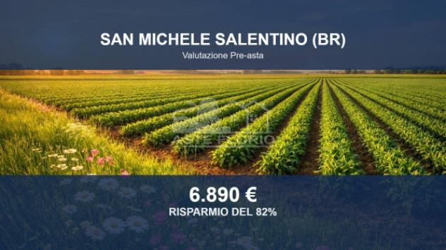 terreno agricolo in vendita a San Michele Salentino