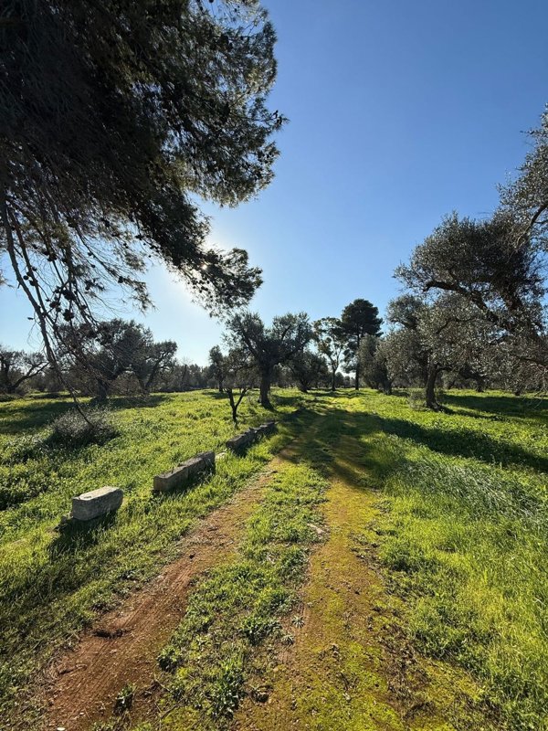 terreno in vendita a San Michele Salentino