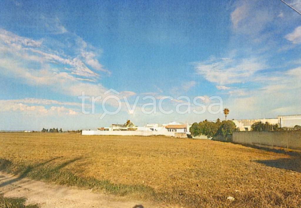 terreno agricolo in vendita a San Pancrazio Salentino