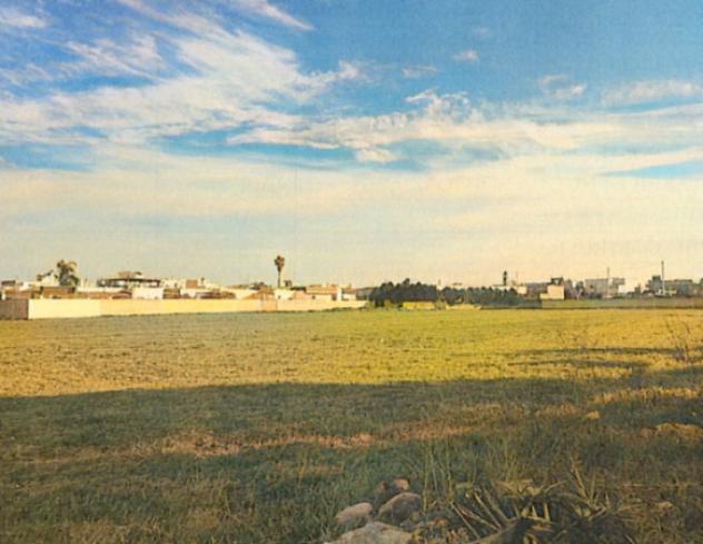 terreno agricolo in vendita a San Pancrazio Salentino