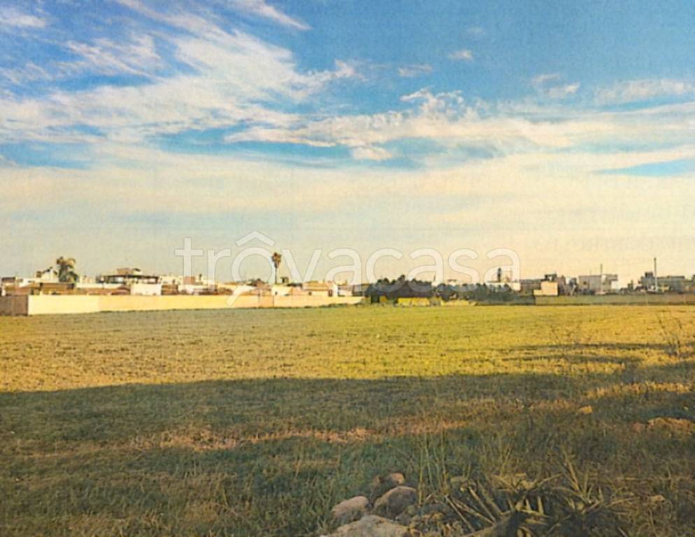 terreno agricolo in vendita a San Pancrazio Salentino