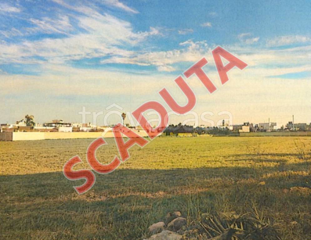 terreno agricolo in vendita a San Pancrazio Salentino