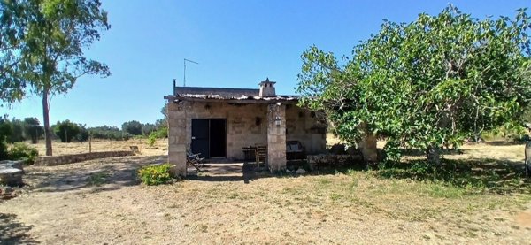 casa indipendente in vendita a San Pancrazio Salentino