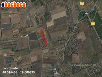 terreno agricolo in vendita a San Pietro Vernotico