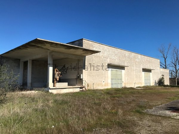 terreno agricolo in vendita a San Pietro Vernotico