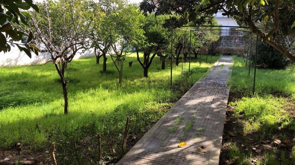 casa indipendente in vendita a San Pietro Vernotico