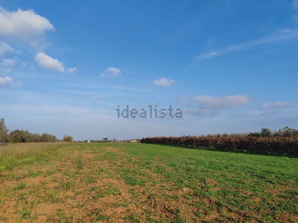 terreno agricolo in vendita a San Pietro Vernotico