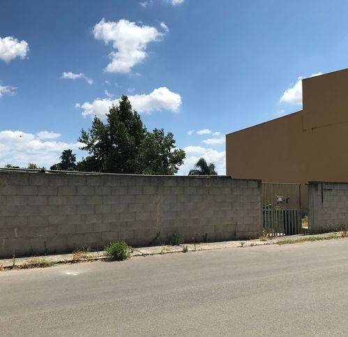 terreno agricolo in vendita a San Pietro Vernotico