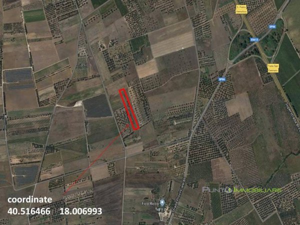 terreno agricolo in vendita a San Pietro Vernotico