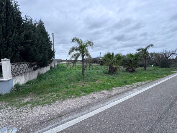 terreno agricolo in vendita a San Pietro Vernotico