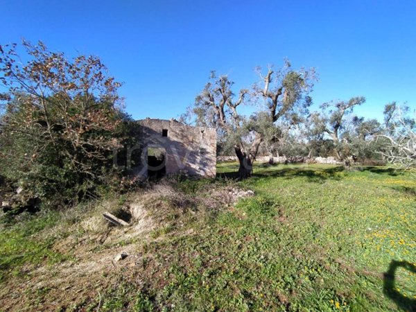 terreno agricolo in vendita a San Vito dei Normanni