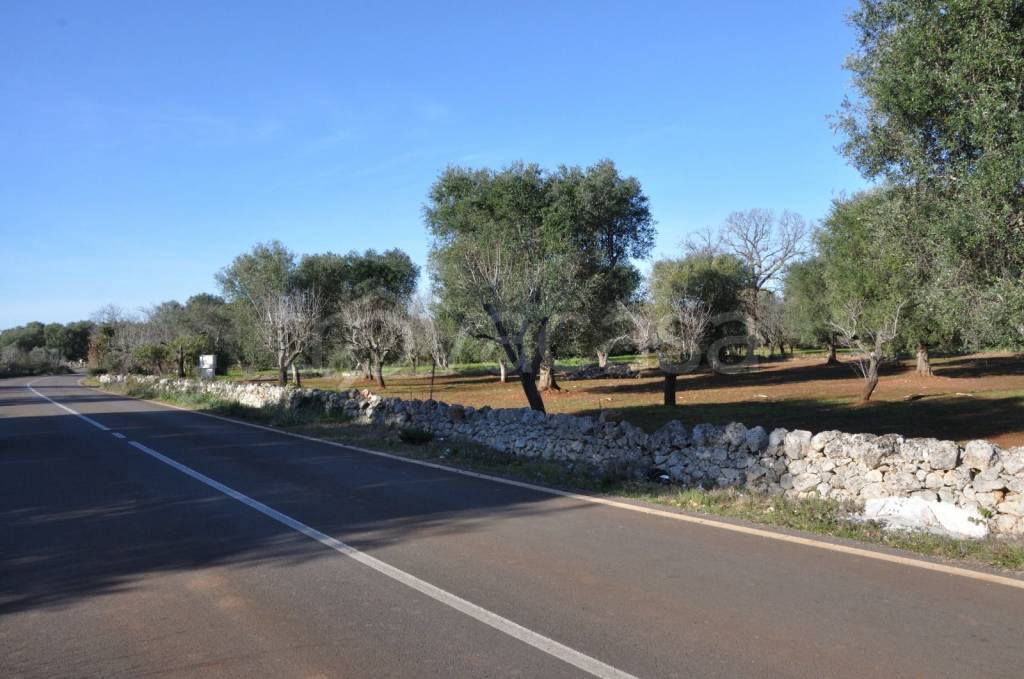 terreno agricolo in vendita a San Vito dei Normanni