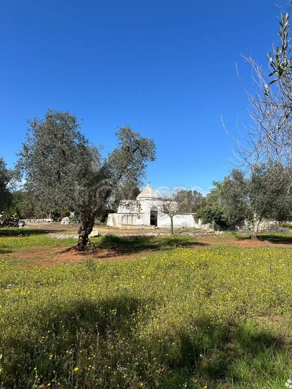 appartamento in vendita a San Vito dei Normanni
