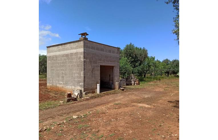 terreno agricolo in vendita a San Vito dei Normanni