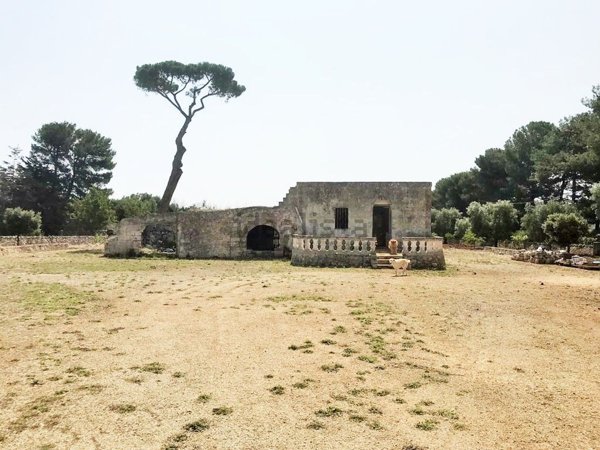 esavano in vendita a San Vito dei Normanni