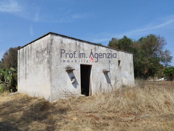 casa indipendente in vendita a San Vito dei Normanni