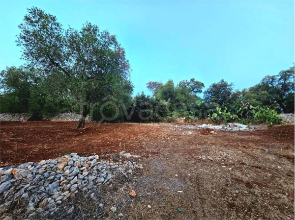 casa indipendente in vendita a San Vito dei Normanni