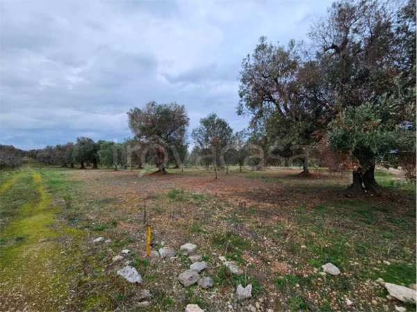 casa indipendente in vendita a San Vito dei Normanni