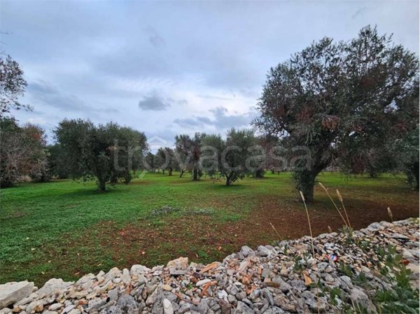 casa indipendente in vendita a San Vito dei Normanni