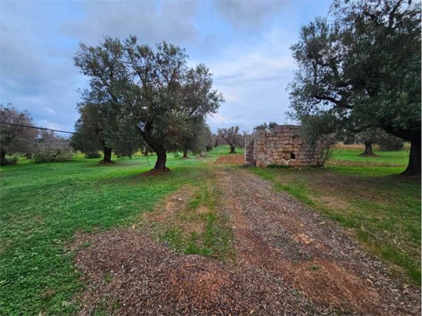 casa indipendente in vendita a San Vito dei Normanni