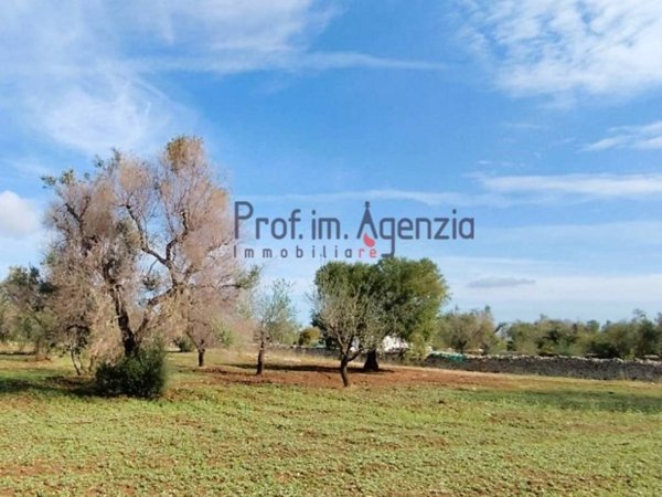 terreno agricolo in vendita a San Vito dei Normanni