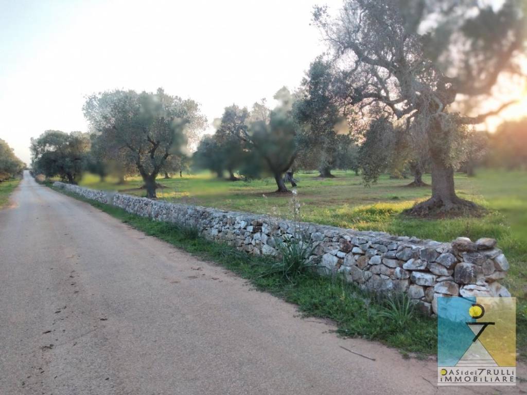 terreno agricolo in vendita a San Vito dei Normanni