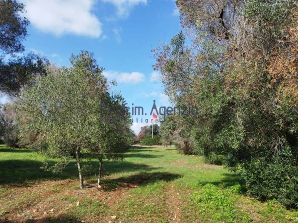 terreno agricolo in vendita a San Vito dei Normanni
