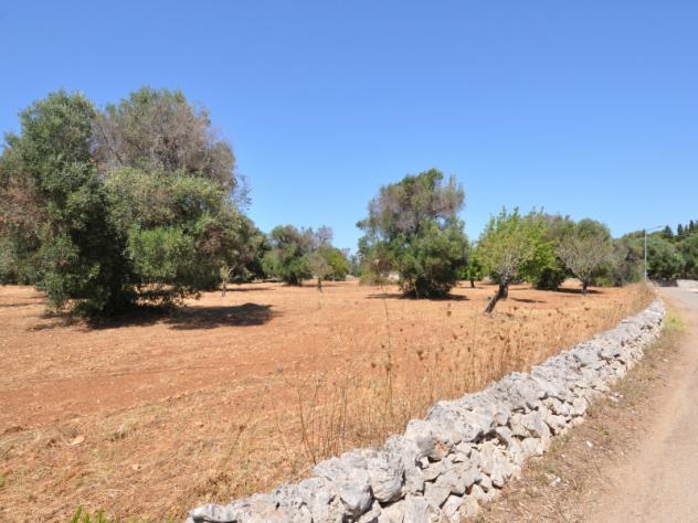 casa indipendente in vendita a San Vito dei Normanni