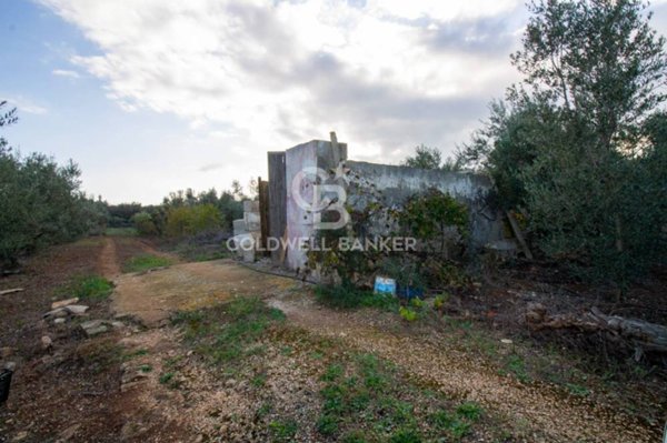 terreno agricolo in vendita a San Vito dei Normanni in zona San Giacomo