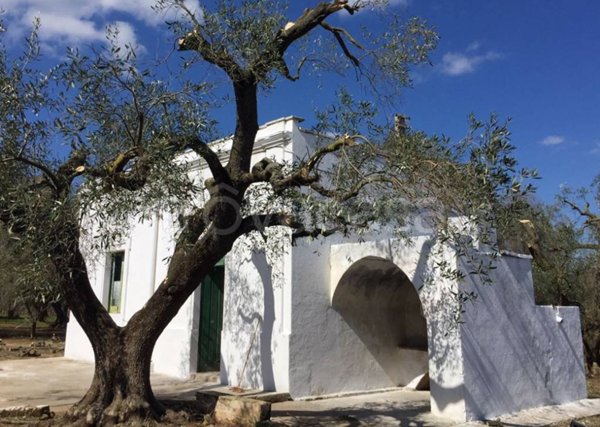 casa indipendente in vendita a San Vito dei Normanni