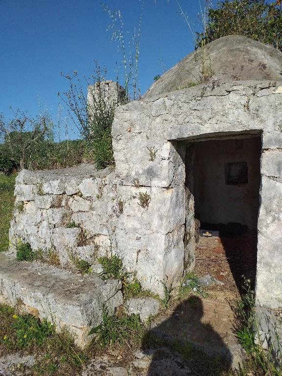 terreno agricolo in vendita a San Vito dei Normanni