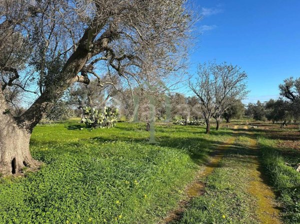 casa indipendente in vendita a San Vito dei Normanni