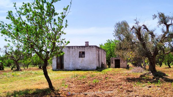 casa indipendente in vendita a San Vito dei Normanni in zona Centro Storico