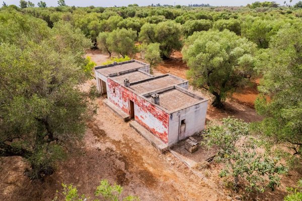 casa indipendente in vendita a San Vito dei Normanni in zona Centro Storico