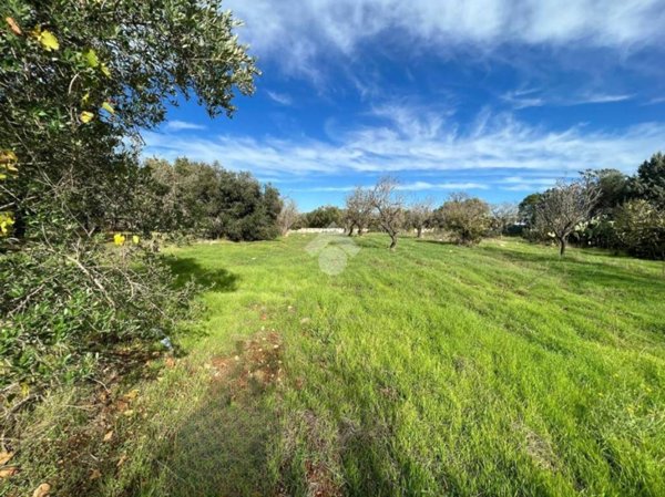 terreno agricolo in vendita a San Vito dei Normanni