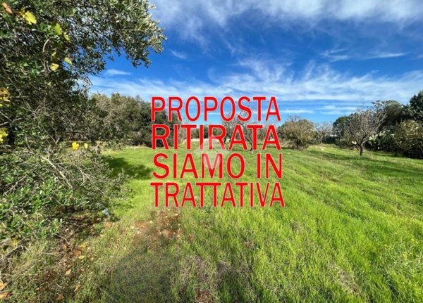 terreno agricolo in vendita a San Vito dei Normanni