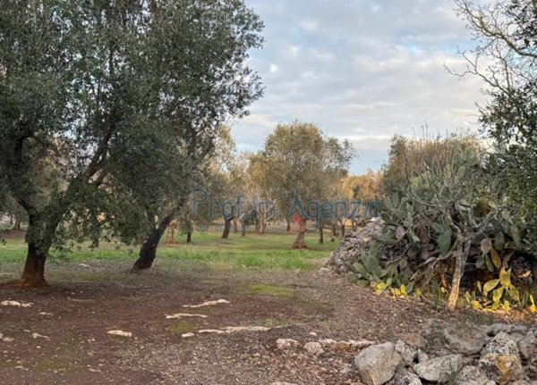 casa indipendente in vendita a San Vito dei Normanni