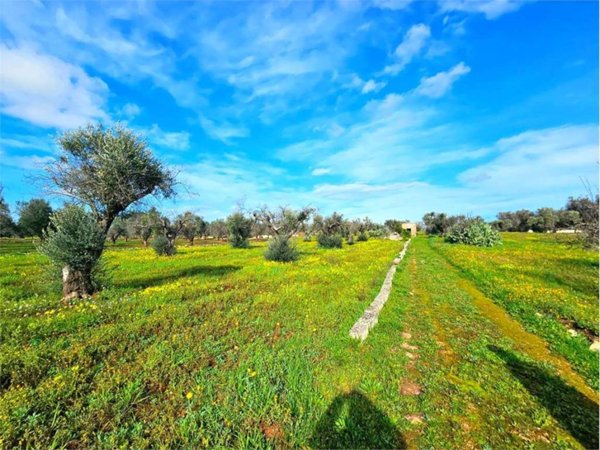 terreno agricolo in vendita a San Vito dei Normanni