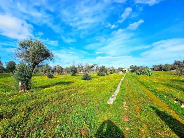 casa indipendente in vendita a San Vito dei Normanni