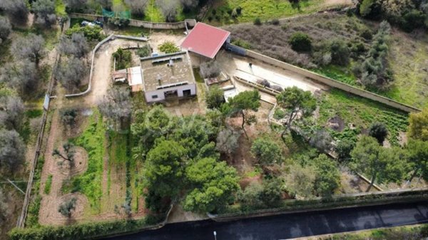 casa indipendente in vendita a San Vito dei Normanni