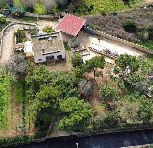 casa indipendente in vendita a San Vito dei Normanni