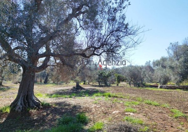 casa indipendente in vendita a San Vito dei Normanni