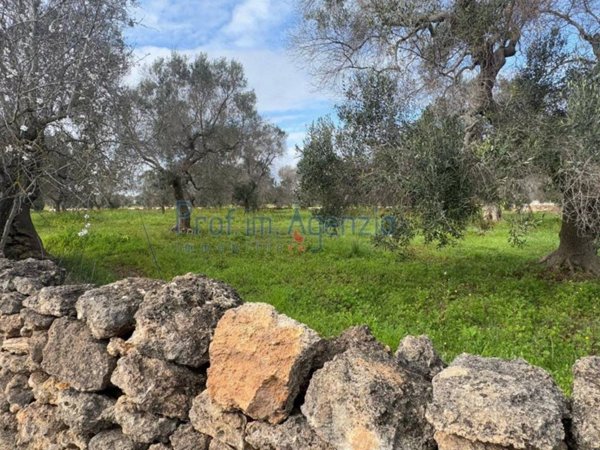 terreno agricolo in vendita a San Vito dei Normanni
