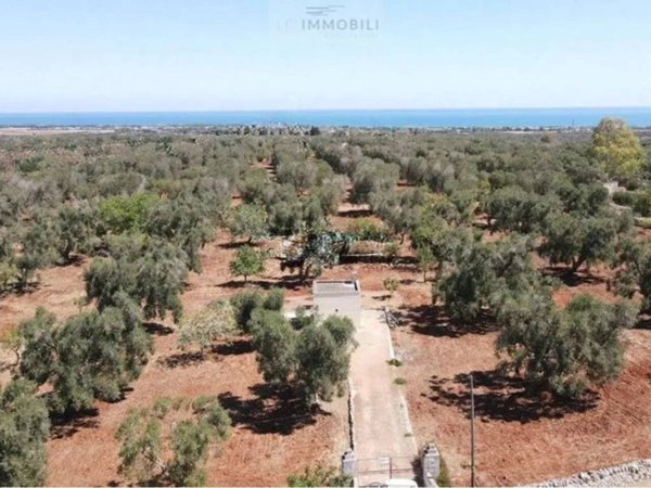 terreno agricolo in vendita a San Vito dei Normanni