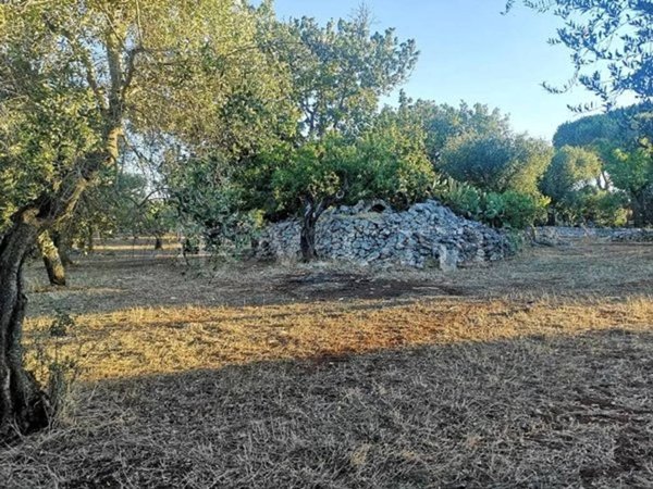 rudere in vendita a San Vito dei Normanni