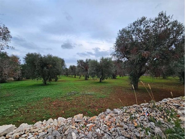 terreno agricolo in vendita a San Vito dei Normanni