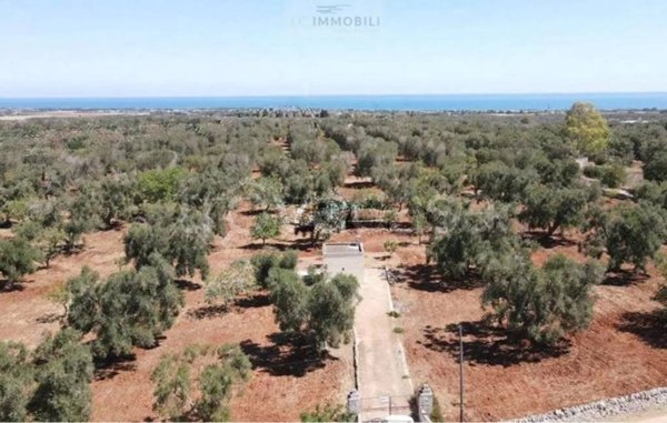 terreno agricolo in vendita a San Vito dei Normanni