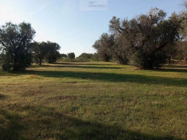 casa indipendente in vendita a San Vito dei Normanni
