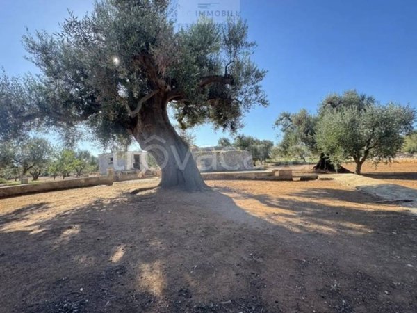 terreno agricolo in vendita a San Vito dei Normanni