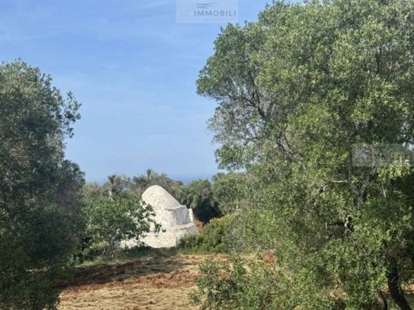 casa indipendente in vendita a San Vito dei Normanni